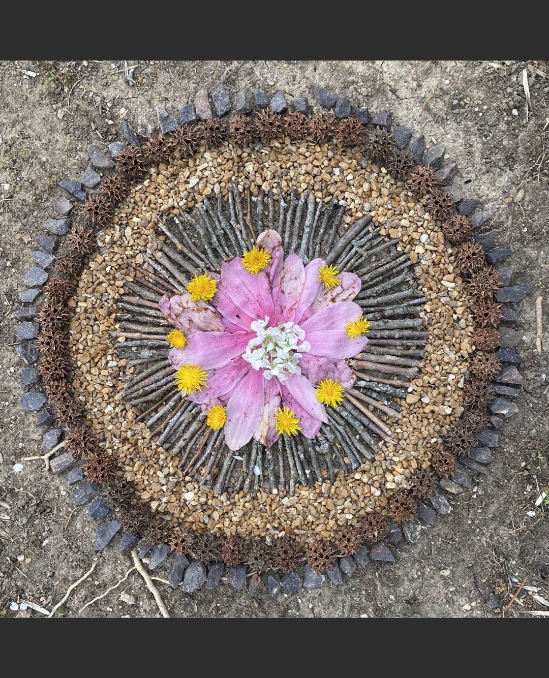 Elementary school art during a pandemic: Nature!